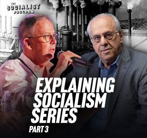 The 4 Waves of Socialism