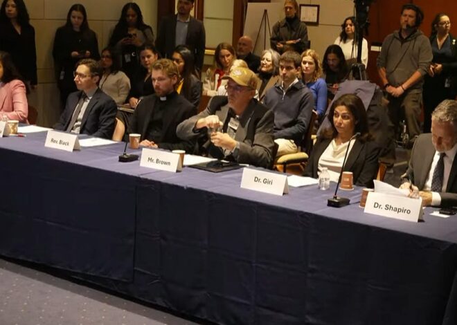 Democrats Hold Shadow Hearing on the Impact of ICE Raids