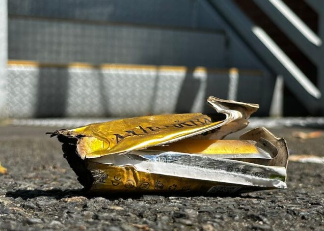 Treasure – by Caitlin Johnstone