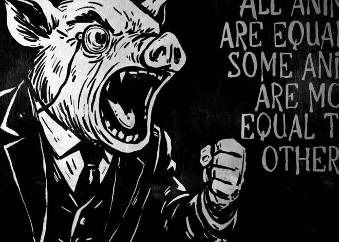 America This Week – Monday Live Show 11/3/25