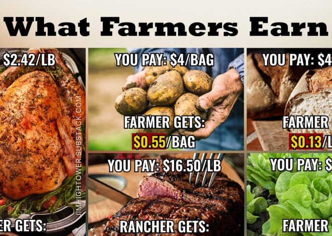 Let’s Bust the Food Monopolists Profiteering on Thanksgiving