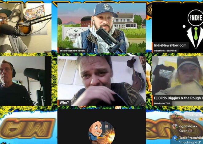 Indie joined The Independent Review on AM Wakeup 11/21/25