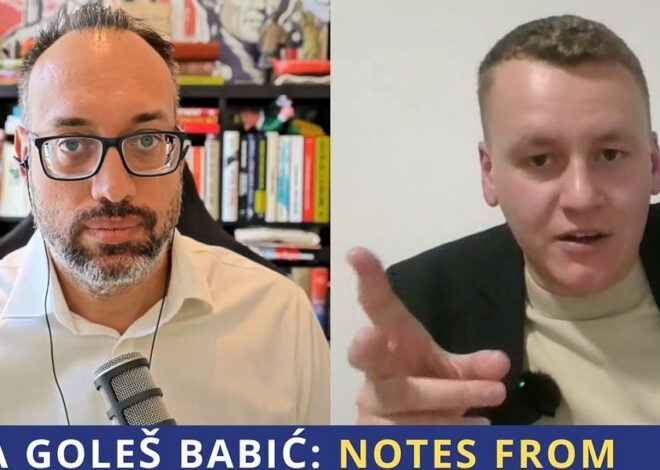 Luka Goleš Babić: Notes from Technopoly