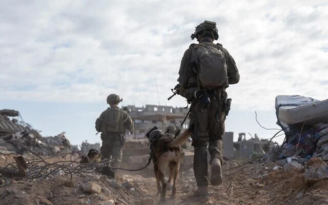 Biden Administration Had Intelligence That Israel Was Using Palestinians as Human Shields in Gaza