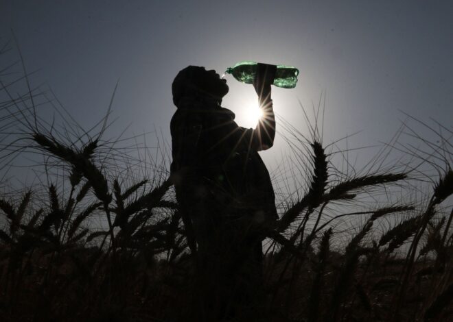 Trump’s Anti-Green Agenda Could Lead to 1.3 Million More Climate Deaths — ProPublica