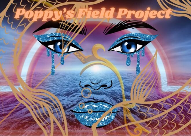 11/26/2025 Poppy’s Field Project