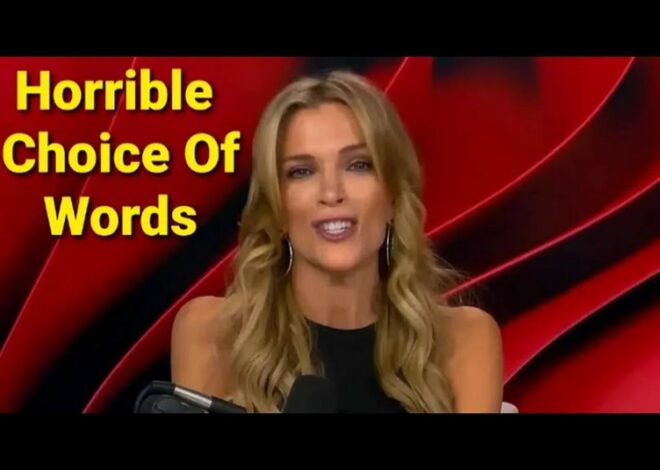 Megyn Kelly Poor Choice Of Words About Epstein And More
