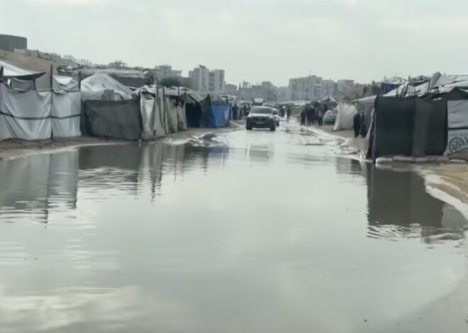 Not a Ceasefire Day 64