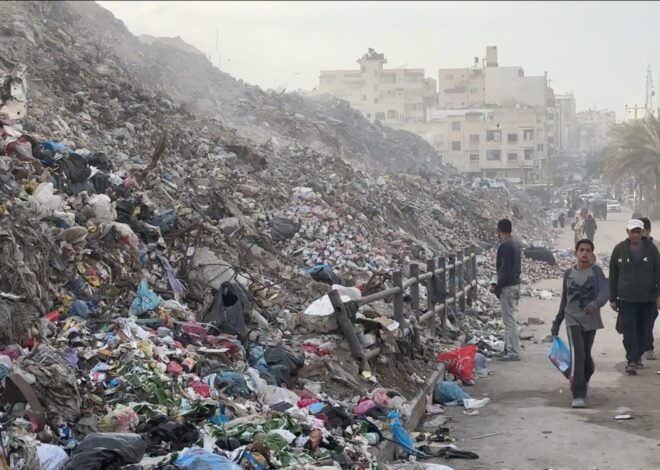 Garbage, sewage, and rats plague Gaza – Not a Ceasefire Day 68