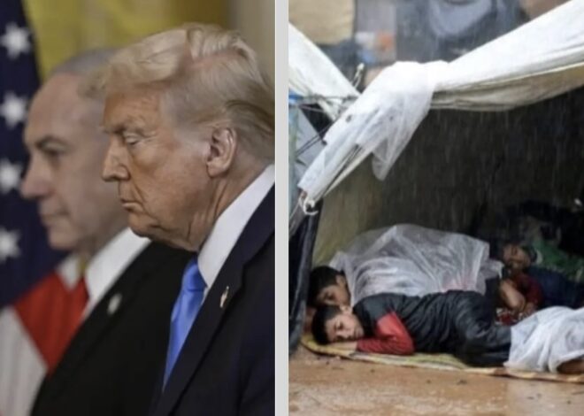 Trump clueless about Israel’s atrocities – Not a ceasefire Day 81