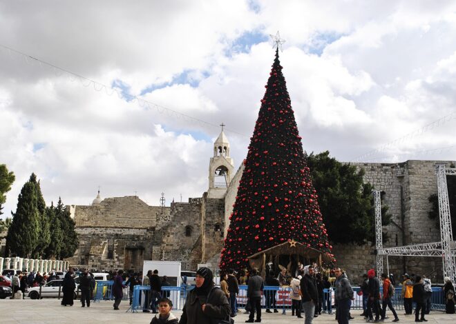 Bethlehem’s Christmas tree rises after 2 years of Gaza’s genocide