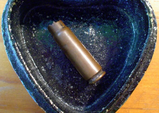 Led by US, Revenue of Major Weapons Makers Hit All-Time High in 2024