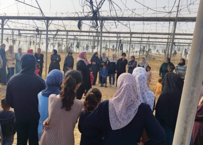 The challenges of monitoring sexual violence in Gaza – Mondoweiss