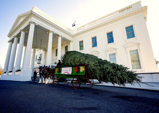 Murder for Christmas? – Consortium News