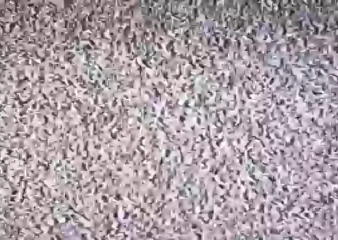 Episode 150 – The Independent Review