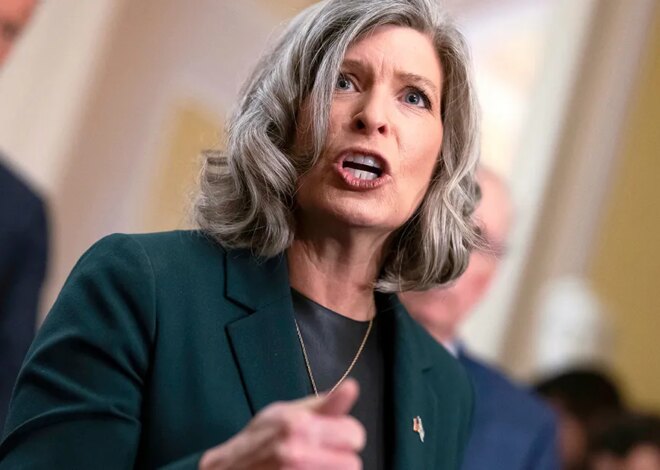 Republican Senator Calls for a Pause to SBA Contracts — ProPublica