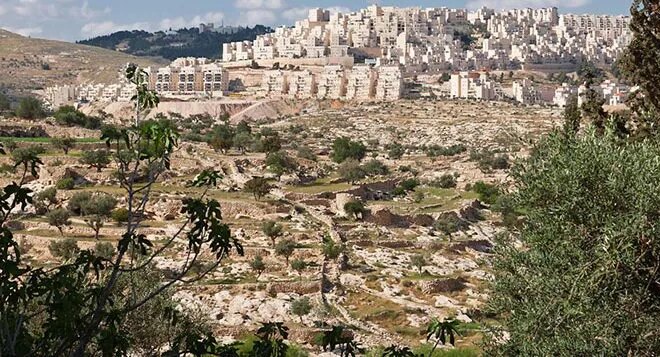 West Bank Settlers Have Injured More People in 2025 Than Last 2 Years Combined