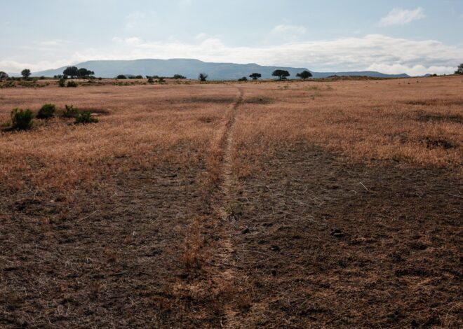 Political Clout Helps Ranchers Dodge Oversight of Public Lands Grazing — ProPublica