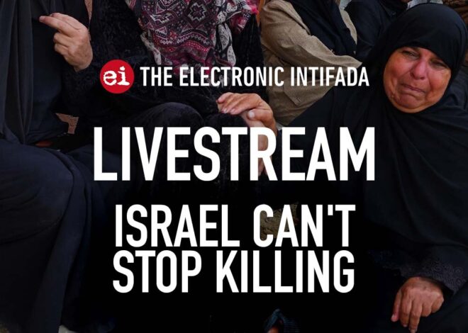 Breaking news and analysis on day 790 of the Gaza genocide | The Electronic Intifada