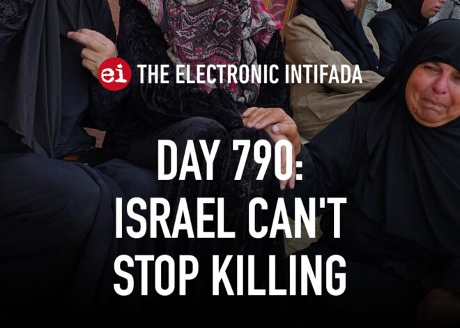Breaking news and analysis on day 790 of the Gaza genocide | The Electronic Intifada
