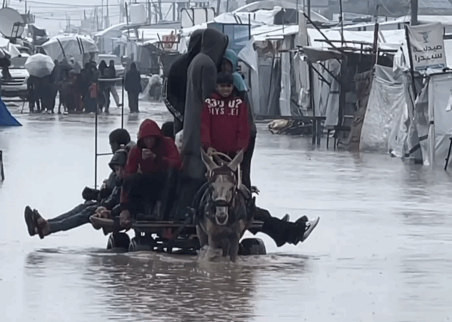 Gaza flood was “utterly preventable,” part of Israel’s genocide‘