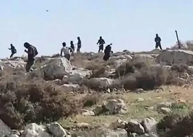 Israeli Settlers Steal & Slaughter Palestinian’s Donkey