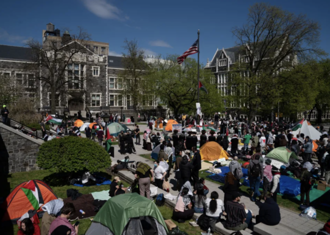 What Is an Assembly? A Guide to True Democracy