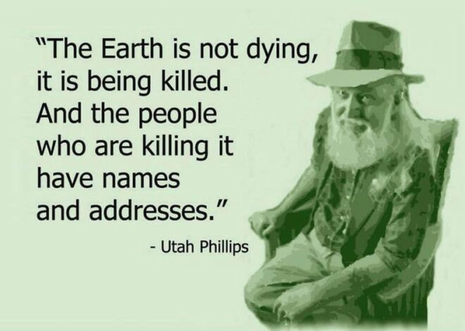 On Becoming The First Species To Go Extinct From Politeness