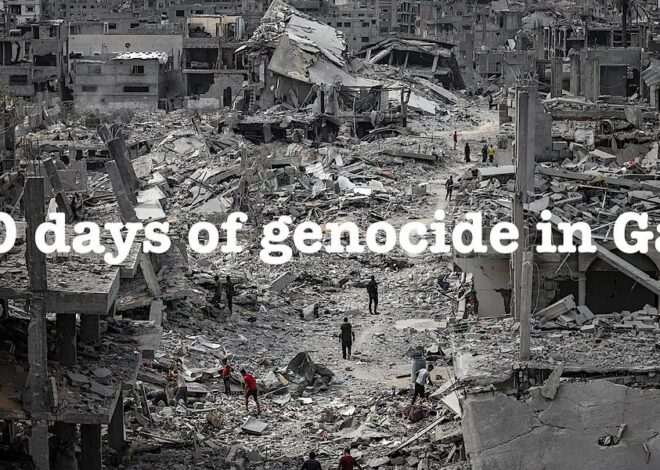 800 days of genocide in Gaza