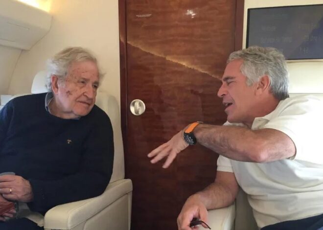 The Acceptable Dissident – by Esha