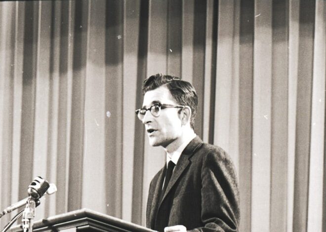 Chomsky: the Moderate Rebel