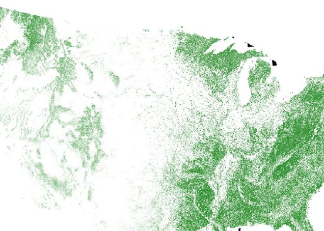 Trees and Inequality – by Jeremy Ney and Michael Tiede