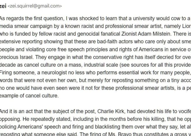 The Zionist Gestapo that must be stopped through solidarity