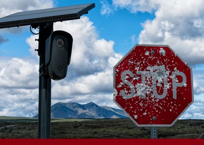 Rise of the Safety State – by Greg Reese