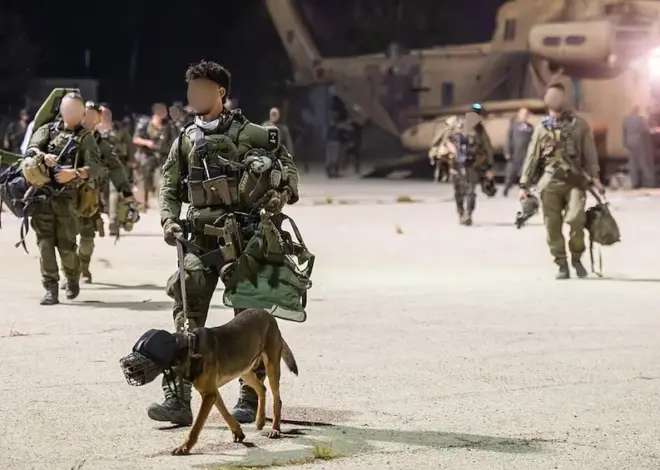 Is it antisemitic to say don’t train dogs to rape prisoners?