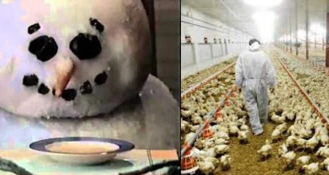 Campbell’s Executive “Revelations” Expose the Rot of Capitalist Food Production