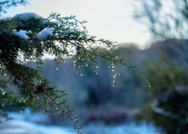 6 Water Contaminants That Won’t Take a Holiday