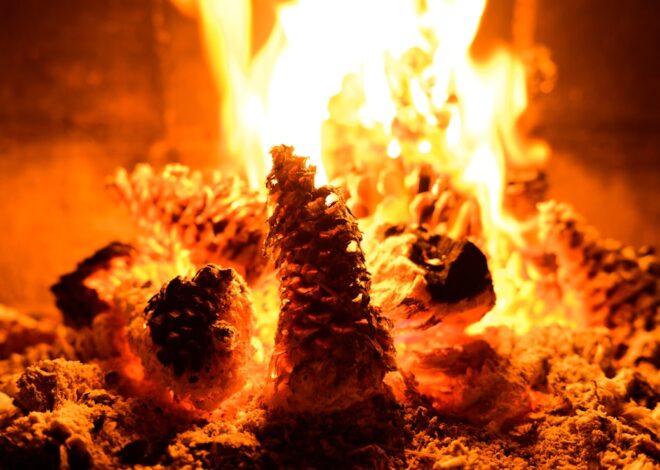 White House Makes Shady Moves During the Holidays