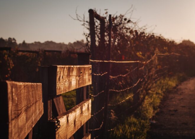 It’s Time To Stop the Spray