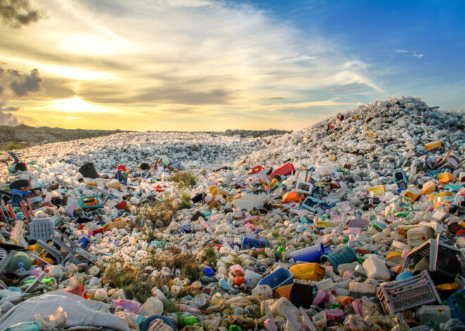 How To Have a Plastic-Free Holiday Season