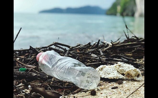 This Year, Have a “No Plastics” Holiday (w/Sonali Kolhatkar)