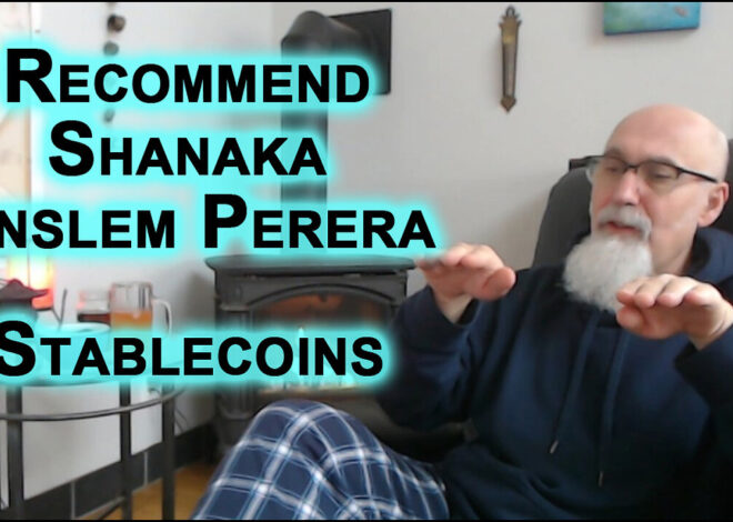 Read Shanaka Anslem Perera: Stablecoins Building Parallel Financial Architecture, USA, Crypto [LINK]
