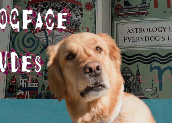 #64 Astrology: Scientific Discipline or Metaphysical Racism? w/ Paranoid American & Noah Campbell