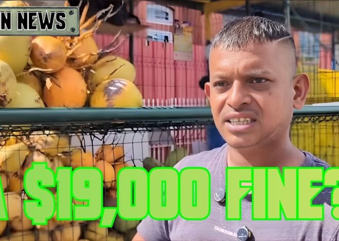 Trinidadian Coconut Vendor FACES $19K In Traffic Fines – w/DJ Joe Nice | @GetIndieNews @joenicedj