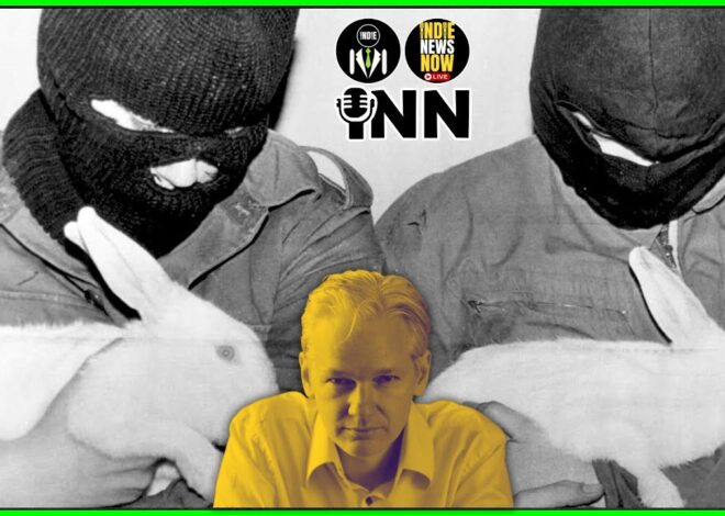 Julian Assange Was a Canary in the Coalmine: Activists Labeled as Terrorists | @GetIndieNews