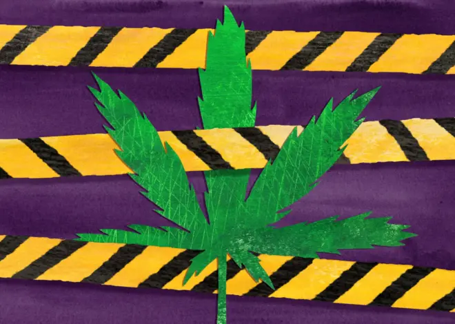 How Colorado Failed to Regulate and Keep Intoxicating Hemp Off the Shelves — ProPublica