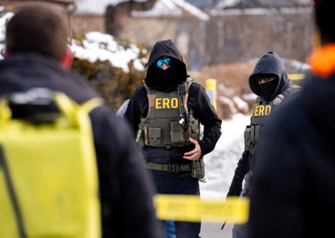 Khanna Demands Arrest, Prosecution of Jonathan Ross for Murder of Renee Good