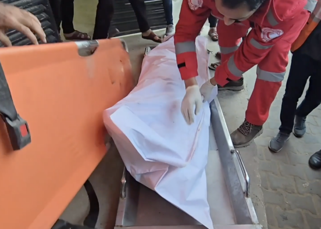 Israeli Forces Kill Eight Palestinians in Gaza in Latest Casefire Violations