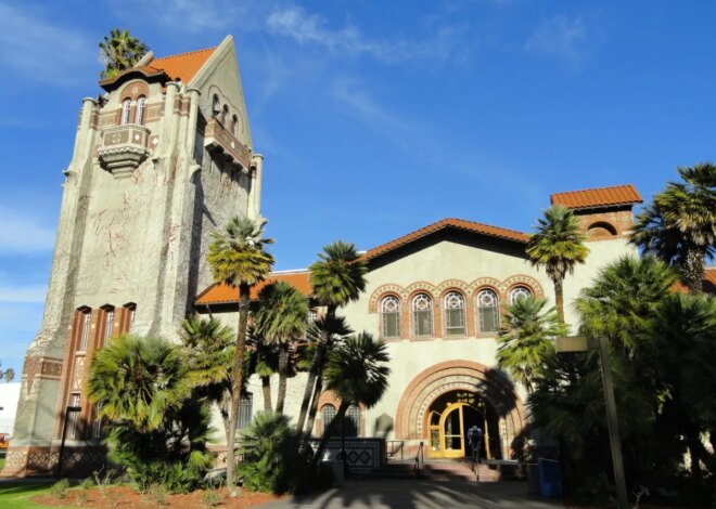 San Jose State professor fights back after being fired over Palestine protest