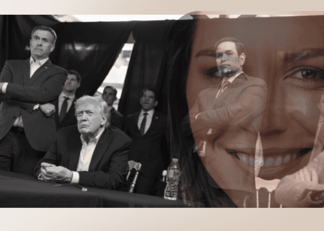 TULSI GABBARD, THE SPY CHIEF WHO OPPOSED WAR — AND WAS KEPT OUT OF THE WAR ROOM